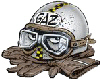 Avatar du membre