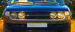 Avatar du membre