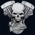 Avatar du membre