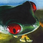 Avatar du membre