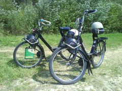 Solex